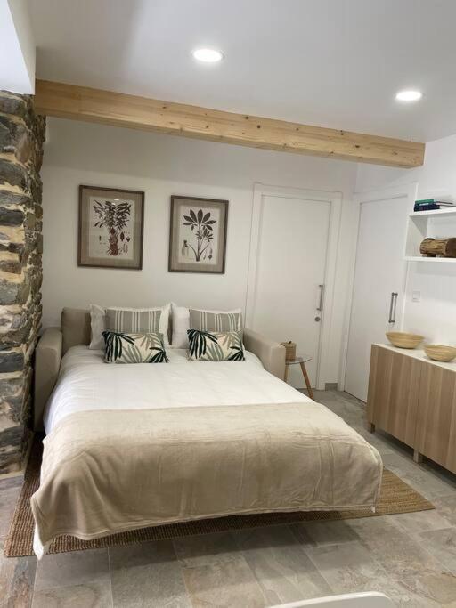 Moderno Con Jardin